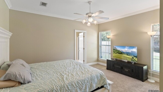 Building Photo - 10530 Springglen Ct