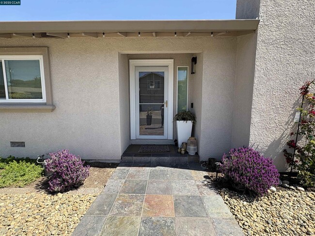 Building Photo - 2313 Bundros Ct