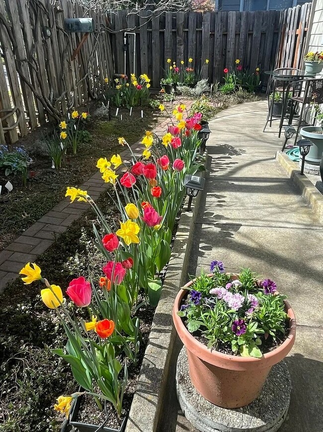 Building Photo - Unfurnished Two bedroom, Two bath Ground Floor Townhouse | Available June