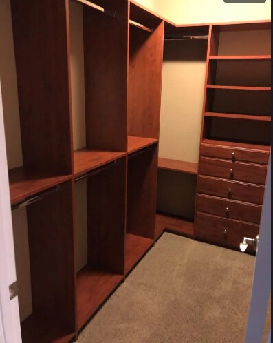 Building Photo - 3601 Rocking Horse Ct