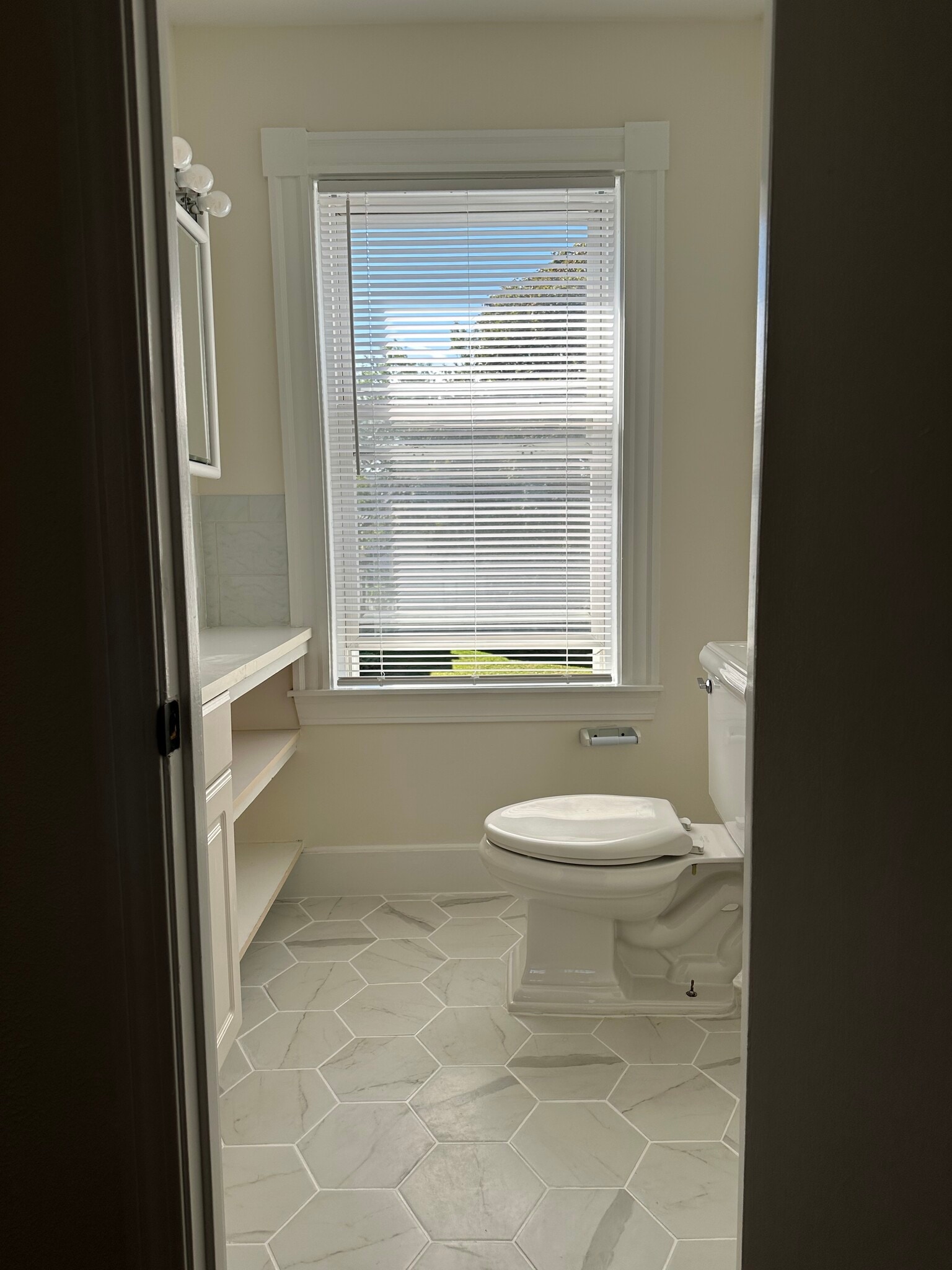 half bath - 293 Main St