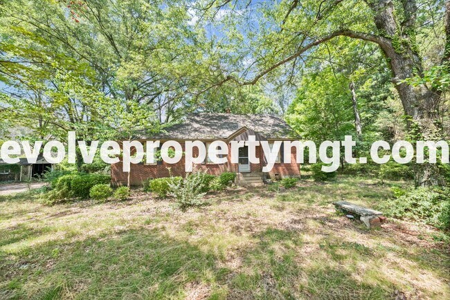 Primary Photo - Hidden Collierville Gem on 1 ACRE!