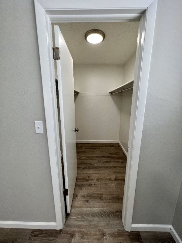 Building Photo - 221 Jessup St