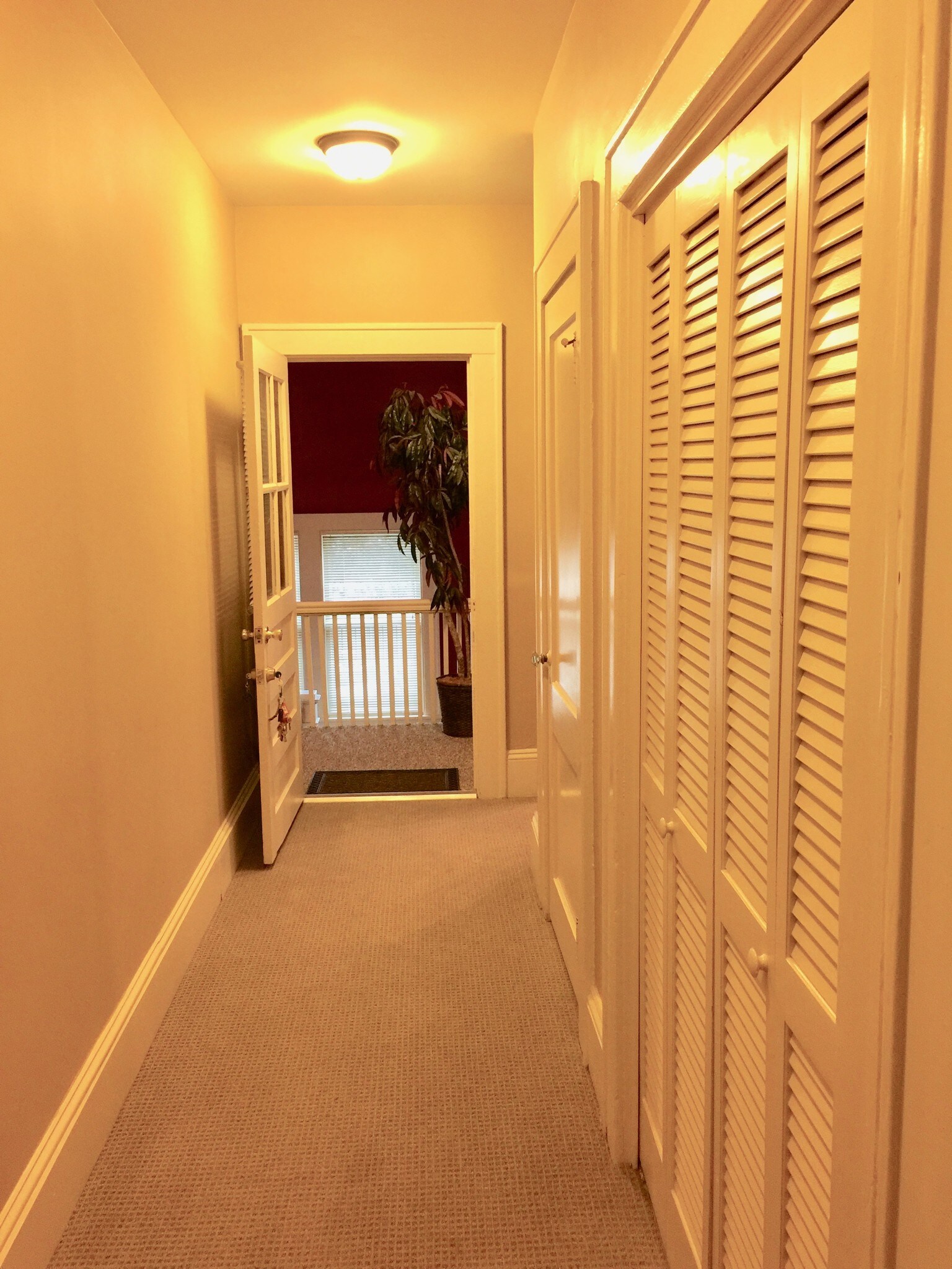 hallway with rear entrance - 418 Clement Ave