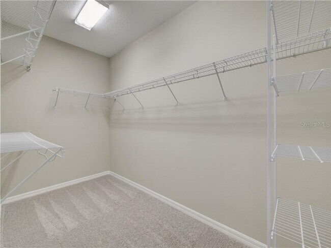 The closet that is big, spacious and with lights, and high quality shelf. High height ceiling, light - 1074 Amber Leaf Trail