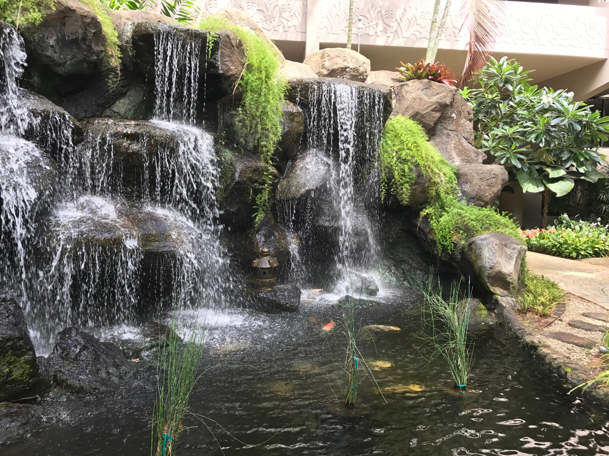 Building Photo - 343 Hobron Ln