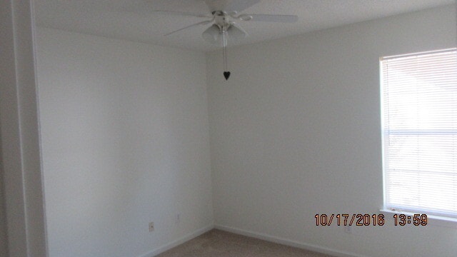Building Photo - 113 Amelia Ct