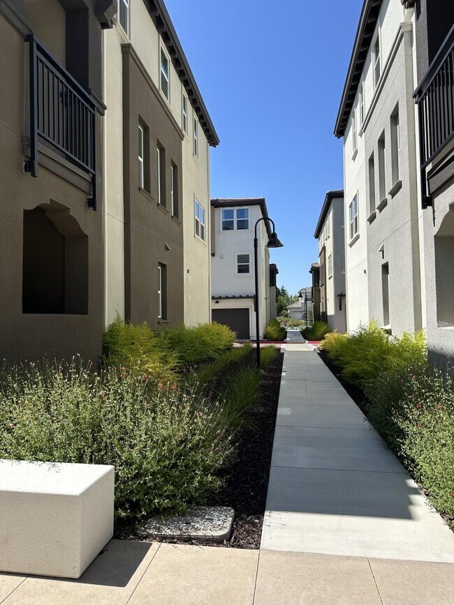 Building Photo - 923 Loyola Ln