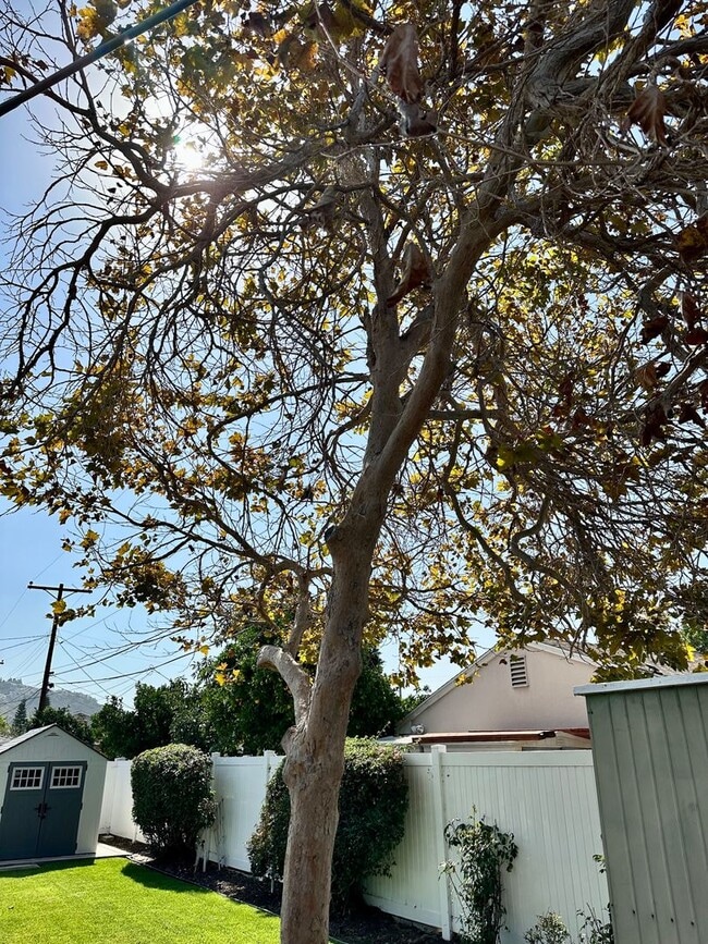Building Photo - Beautifully Remodeled Allied Gardens Home