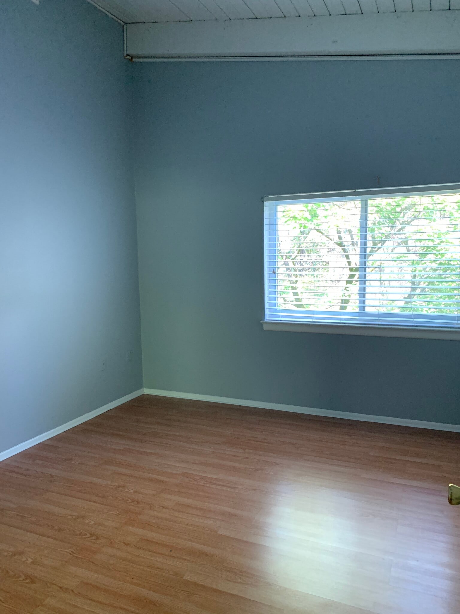 Bedroom #3 - 11366 Cherry Hill Rd