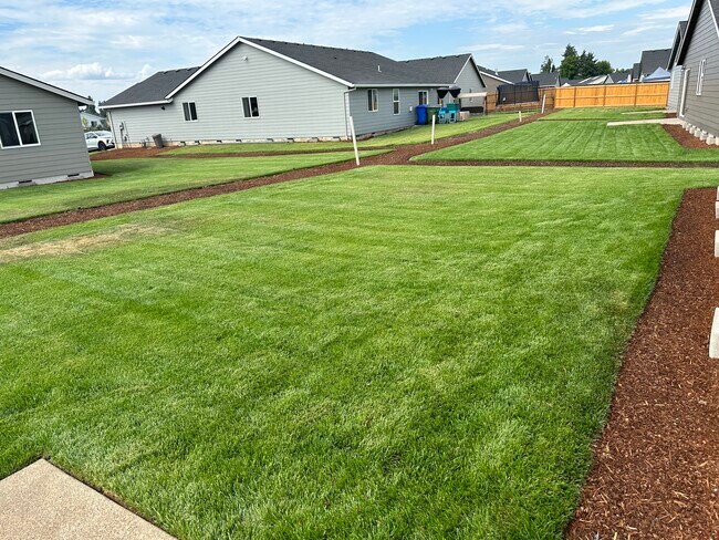 Backyard - 389 Cornwell St
