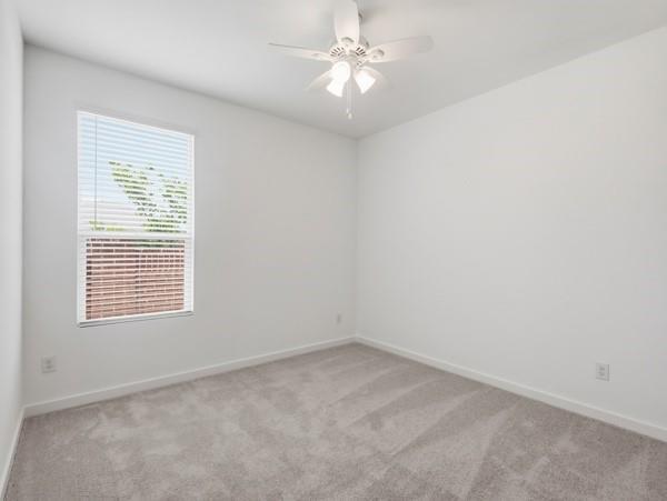 Building Photo - 7001 Camphor Ct