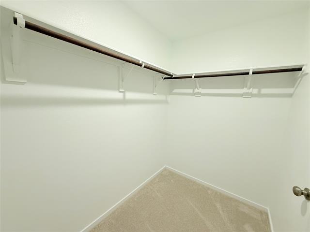 Building Photo - 3809 Ronda St