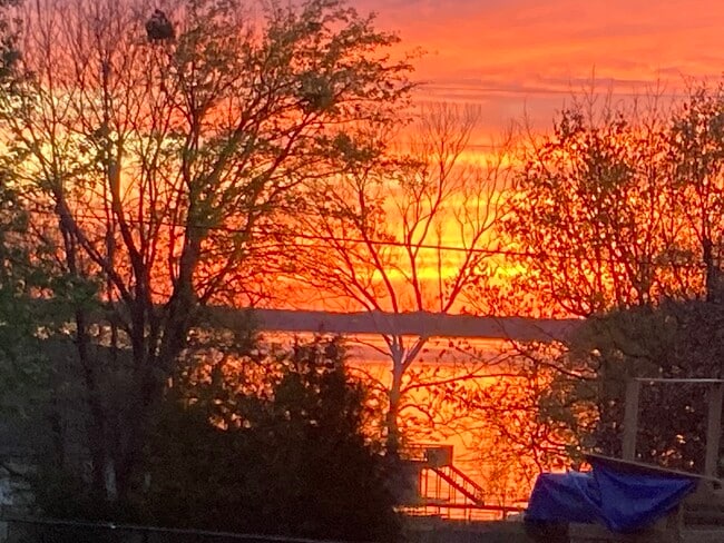 Building Photo - 223 Port Dr