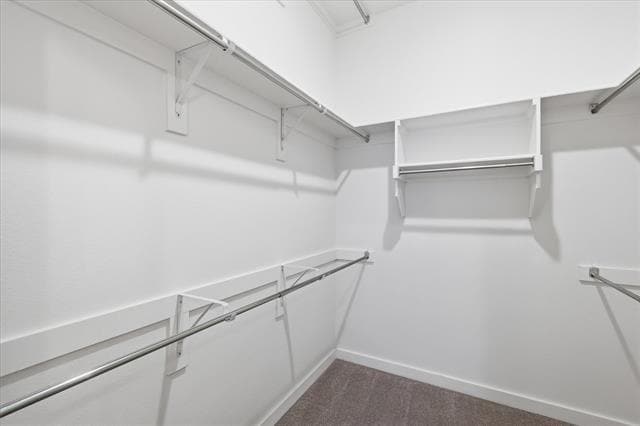 Building Photo - 1008 Marian Dr