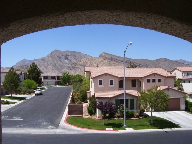 Building Photo - LACEBARK PINE