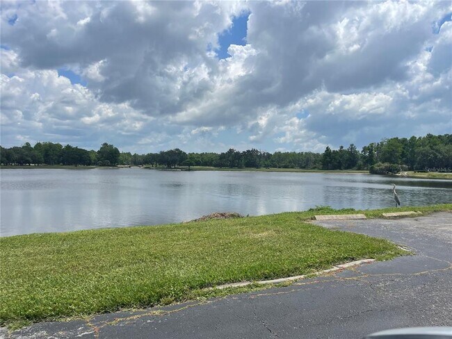 Building Photo - 36750 US Hwy 19 N