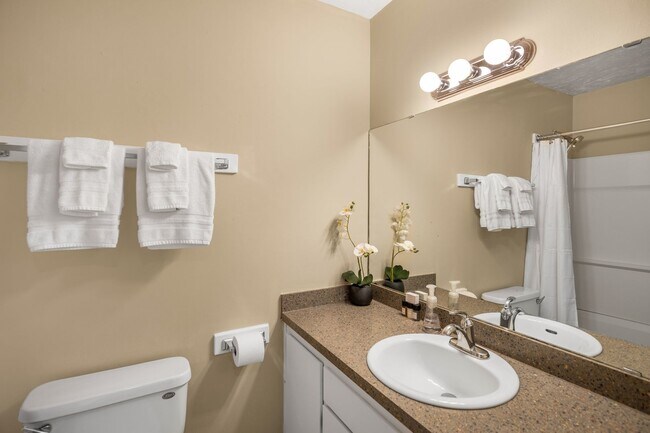 Building Photo - Downtown Furnished 1 Bed / 1 Bath Apartmen...