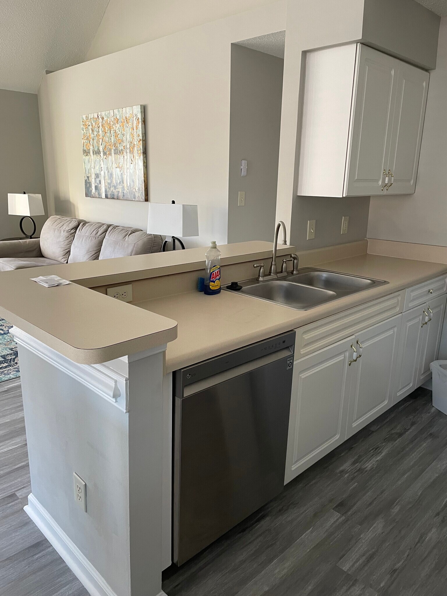 Kitchen counter, dishwasher, sink - 904 Queens Way