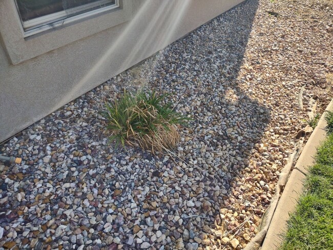 Building Photo - 3 Bedroom 2 Bathroom House