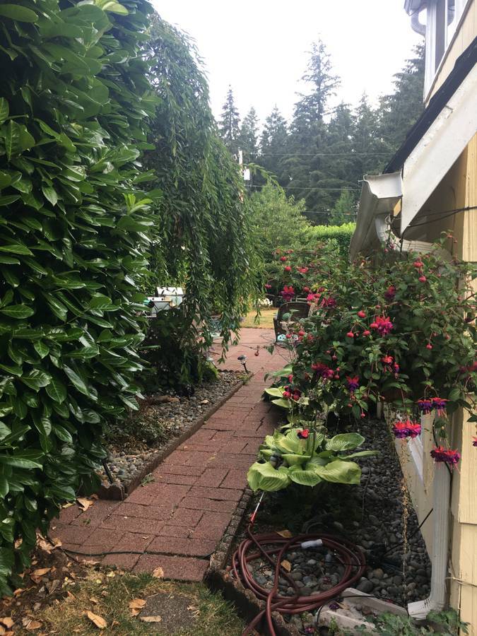 Side yard/patio - 1904 12th Ave SW