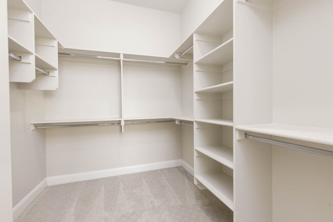 Building Photo - Brand new 2 Story with 4 beds and 2.5 baths plus Office