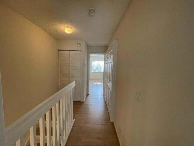 Building Photo - 5219 Palmbrooke Cir