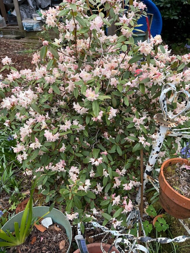 Building Photo - The Perfect Restored University Heights Home -available for rent now!