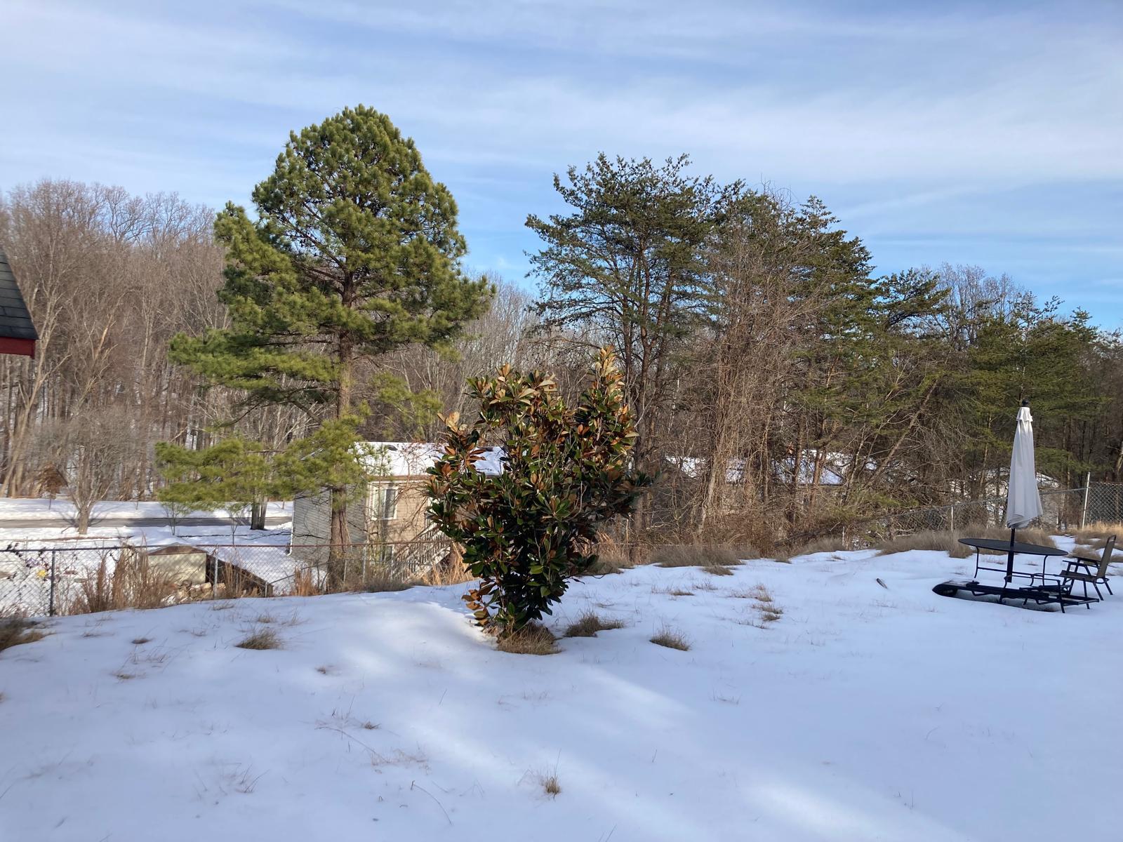 Building Photo - 3804 Charred Oak Dr