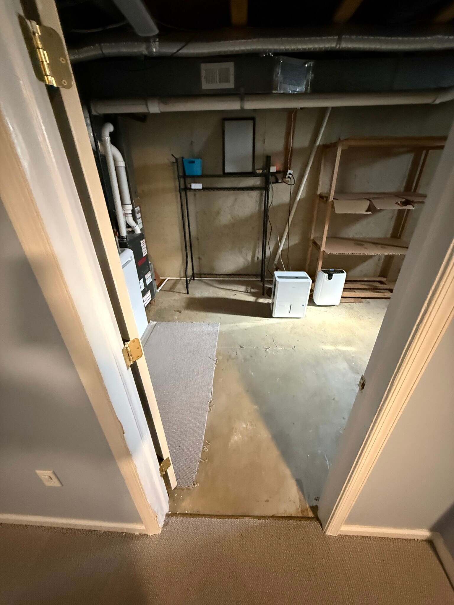 Building Photo - 12 Paynter St