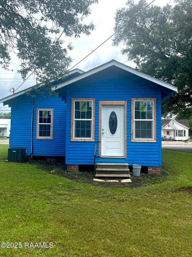 Building Photo - 1013 Iberia St