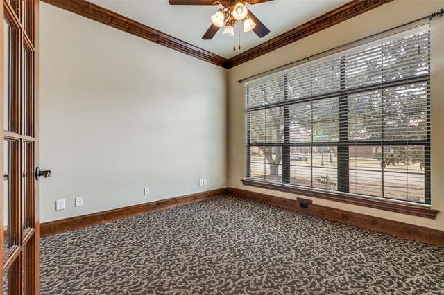 Building Photo - 11116 Dorchester Ln