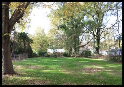 Building Photo - 313 Raynor St