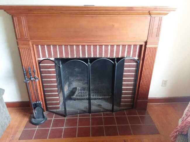 Fireplace in living room. - 1255 Culbert Dr