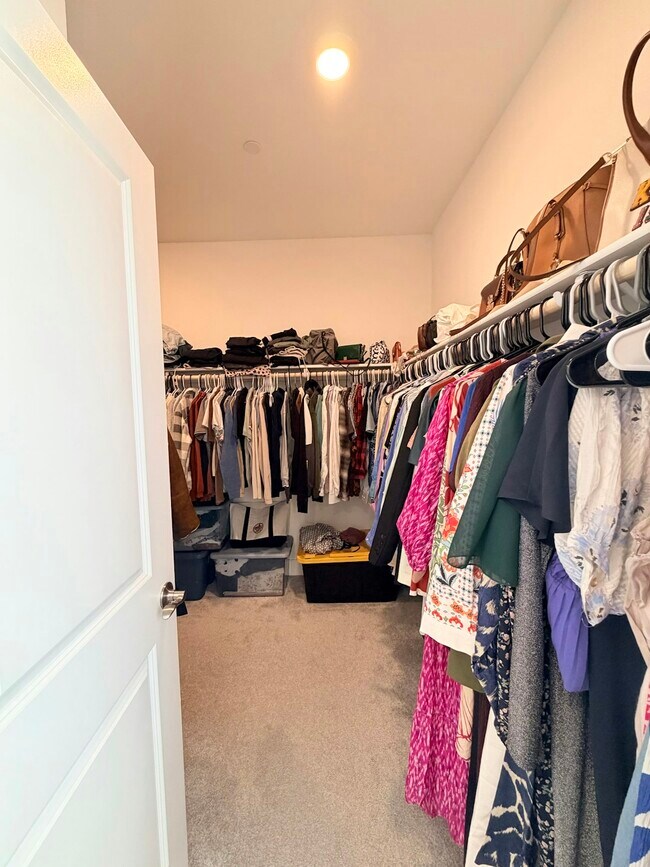 Building Photo - 42 Redberry Loop