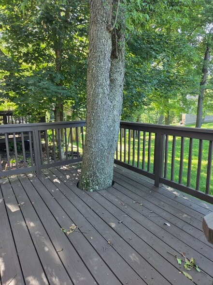 We built the deck around an existing friendly tree! - 102 Stonecrest