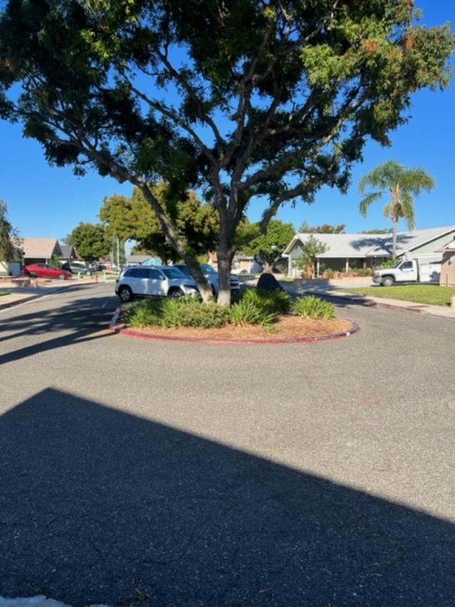 Building Photo - 3786 Stanton Ct