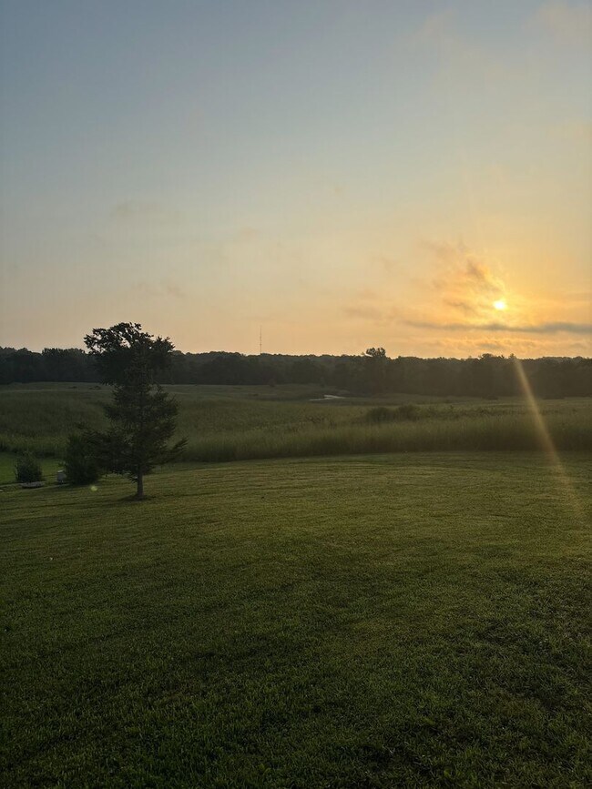 Building Photo - 220 Meadow Woods Dr