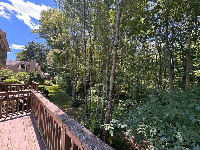 Building Photo - 12 Birchwood Ln