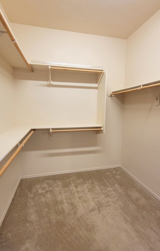 Building Photo - Pet friendly Civano home