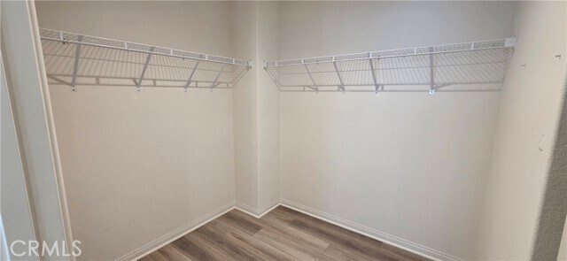 Building Photo - 7339 Portia Ln