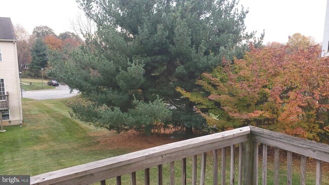 Building Photo - 22 Bridle Path