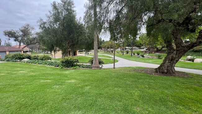 Building Photo - Turnkey 3 Bed 2 Bath Single Story View Home in Orange