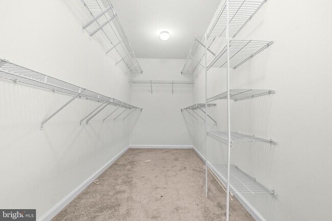 Building Photo - 5407 Silver Maple Ln