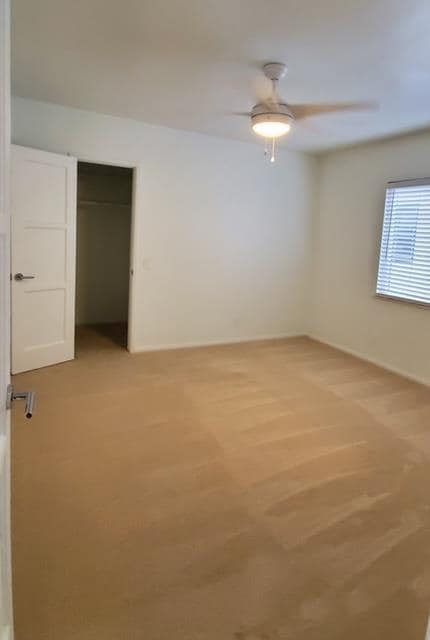 Interior Photo - 125 Cherry Ave
