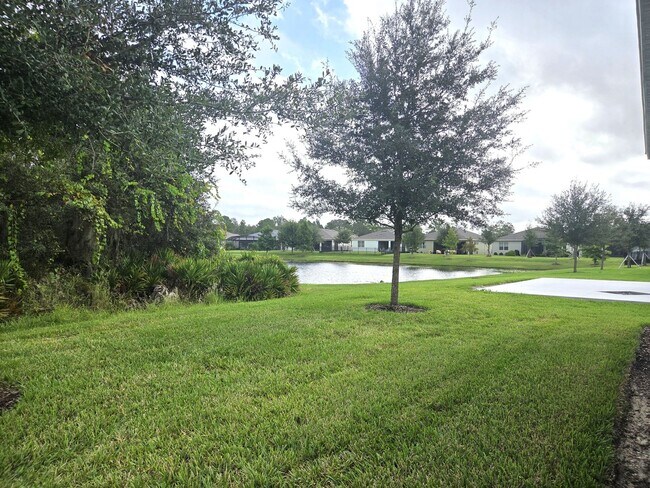 Building Photo - 55+ Gated Community at Palms at Serenoa