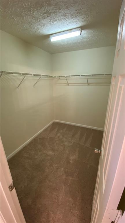 Building Photo - 986 Hawthorn Ln