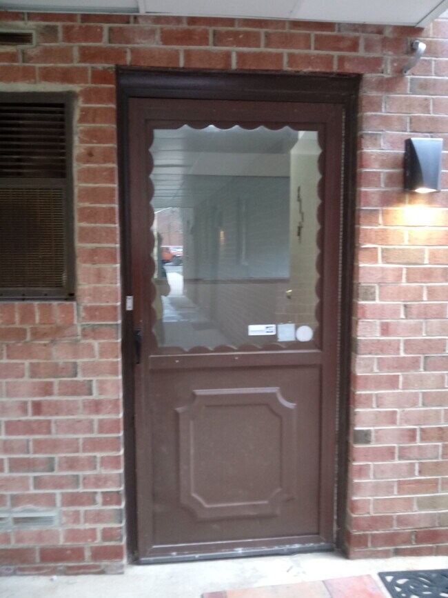 Entry door screen door - 813 Meadow Woods Ln