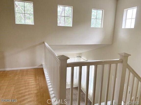 Building Photo - 2503 Villamonte Ct