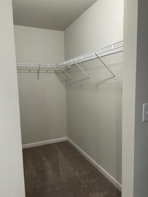 Building Photo - 400 Whitetail Cir